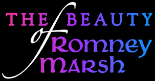 The Beauty of Romney Marsh