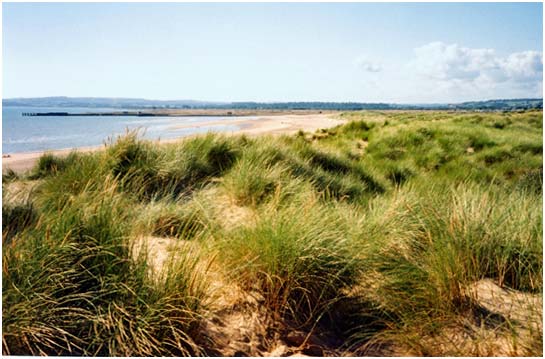 Camber Sands looking towards Rye