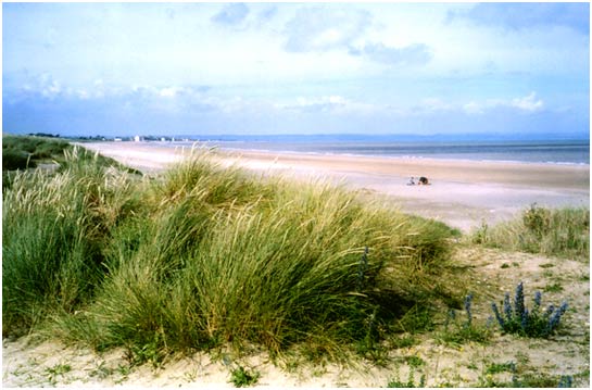 Greatstone Beach in summer