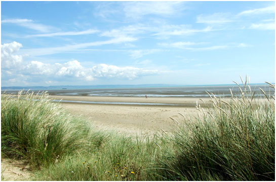 The beach at Greatstone on Midsummer’s Day.