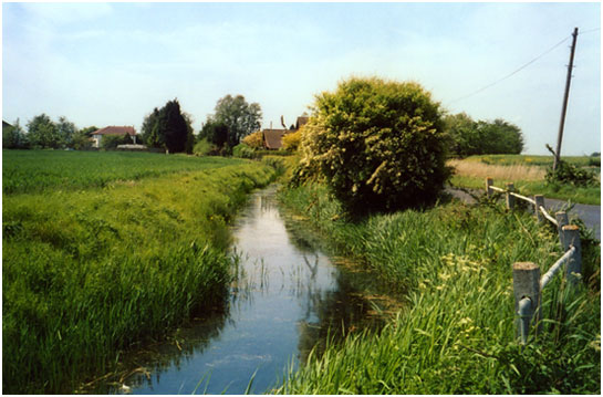 St. Mary’s Road, Norwood