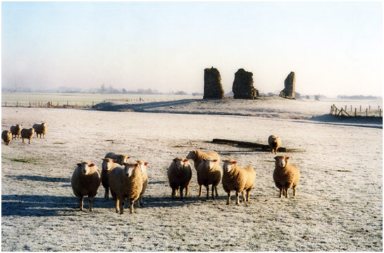 The Ruins of Hope All Saints, north of New Romney