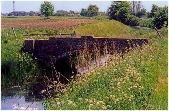 A pretty bridge near Newchurch