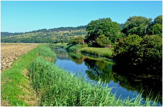 The Military Canal in July