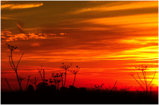 Dawn from Gammon Farm Lane