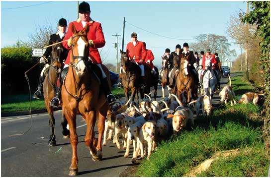 The East Kent Hunt arrives