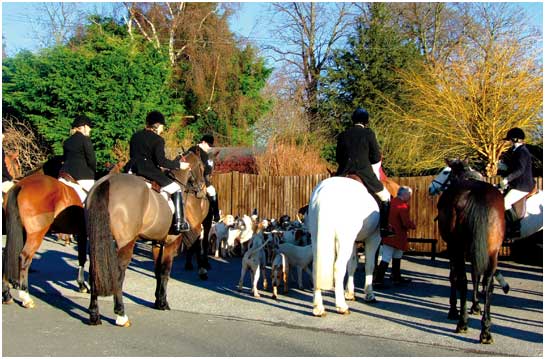 Beautiful colours in December